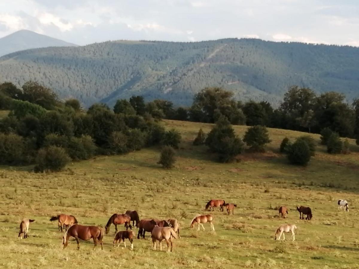 Tres Fuentes Turismo Villa Valganon Екстериор снимка